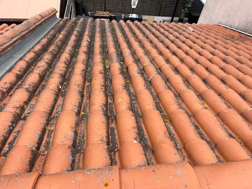 Toiture encrassée par la mousse et les débris, à surveiller avant que les dégâts ne s’aggravent